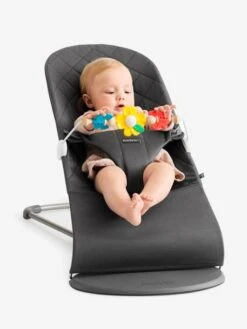 Arche De Jeux Pour Transat Amis Volants Babybjorn Multicolore - Baby Bjorn -vertbaudet Boutique arche de jeux pour transat amis volants babybjorn 4