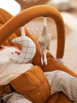 Transat Avec Arche Babydream Curry - Vertbaudet 8 Transat Avec Arche Babydream Curry - Vertbaudet -vertbaudet Boutique transat avec arche babydream 2